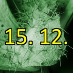 adventní kalendář ÚEB pro rok 2010