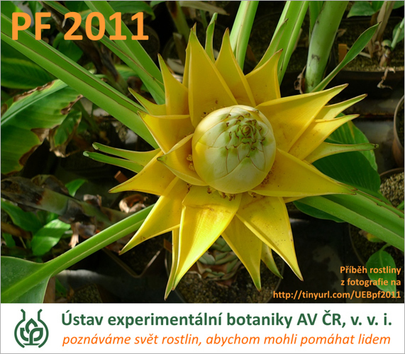 PF 2011 od Ústavu experimentální botaniky AV ČR