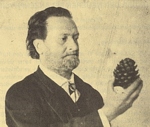 Julius von Sachs (1832–1897), zakladatel rostlinné fyziologie. Roku 1857 se stal v Praze prvním docentem rostlinné fyziologie na světě.