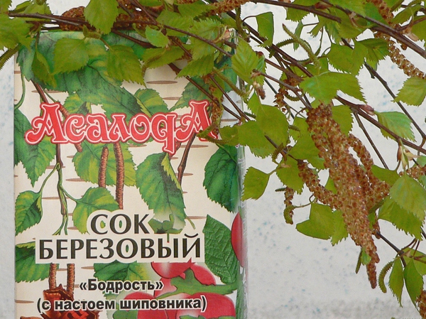březová šťáva z Běloruska, dochucená šípkovým extraktem