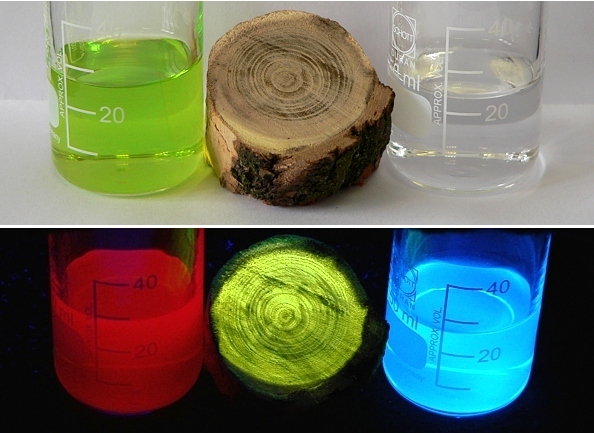 Fluorescence látek z rostlin. Zleva etanolový extrakt listů, dřevo akátu a tonik. Nahoře vzhled v bílém světle, dole pod ultrafialovou zářivkou.