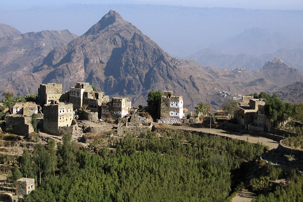 Terasy s keři kátu (kata jedlá, latinsky Catha edulis) v pohoří Haraz v západním Jemenu. Snímek Lukáš Synek.