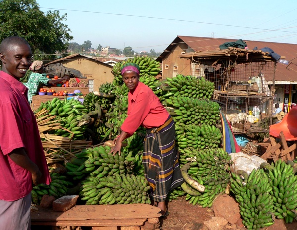 prodej škrobových banánů na trhu v hlavním městě Ugandy, Kampale