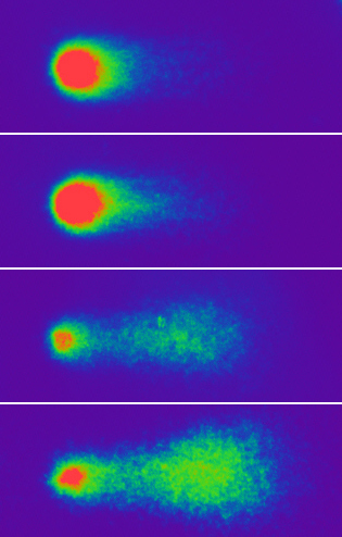 DNA z jader huseníčku - kometový test