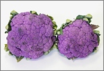 květáky s fialovými hlávkami