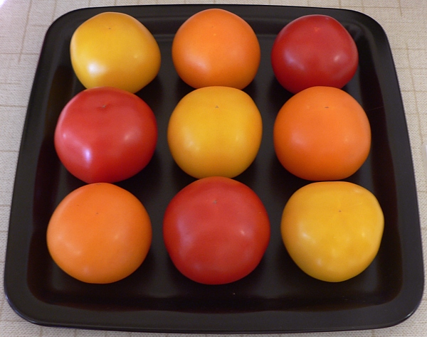 žlutá, oranžová a červená rajčata
