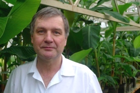 docent Jaroslav Doležel ve skleníku se sbírkou banánovníků